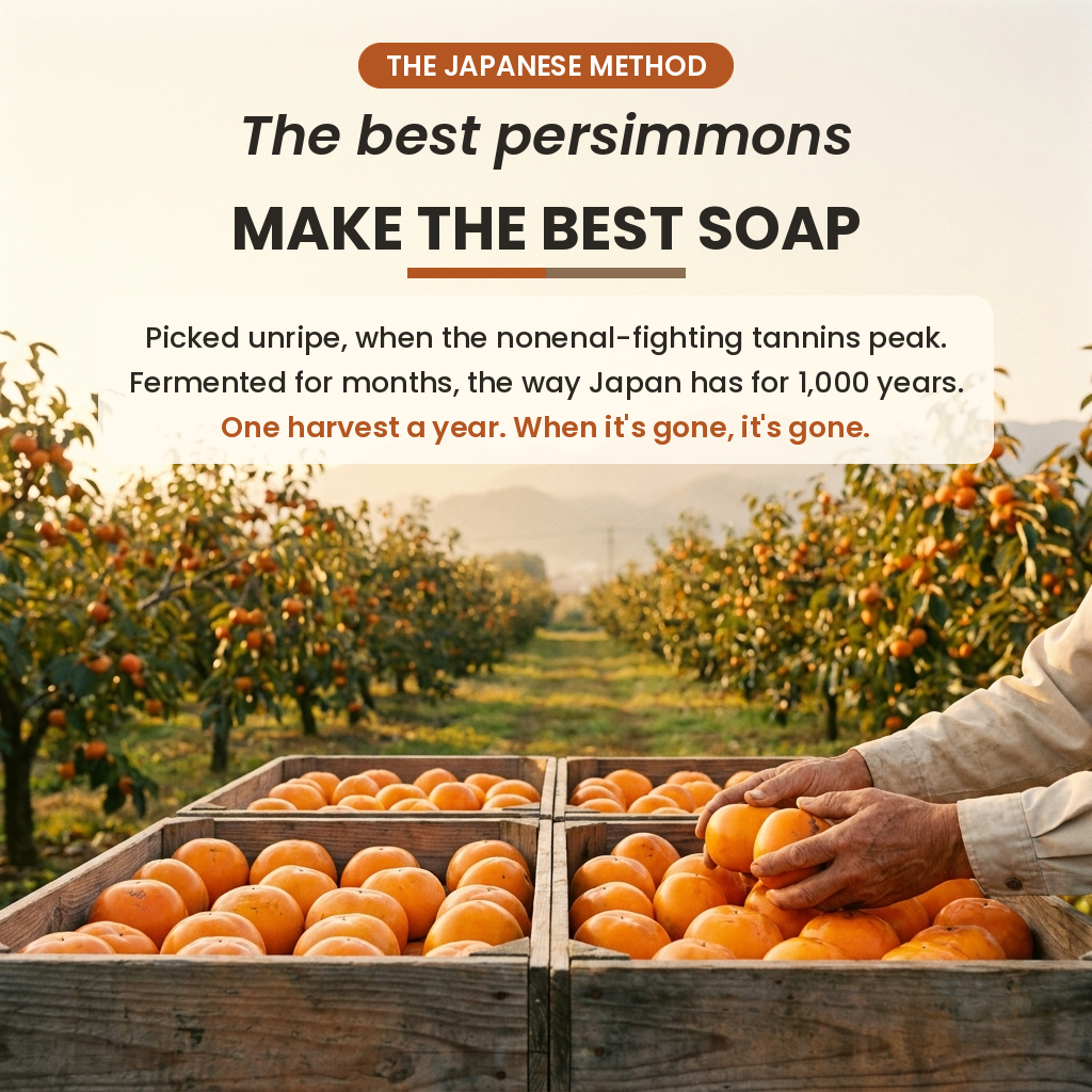 Persimmon Soap